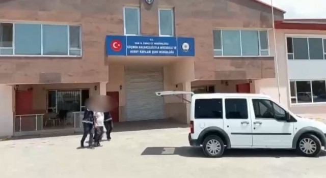 Vanda 6 organizatör tutuklandı