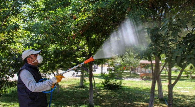 Vanda bayram öncesi park, bahçe ve mesire alanları ilaçlanıyor