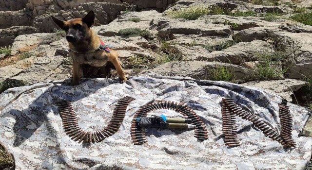 Vanda terör operasyonları