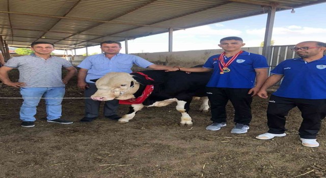 Verdiği sözü tuttu, şampiyona dana hediye etti
