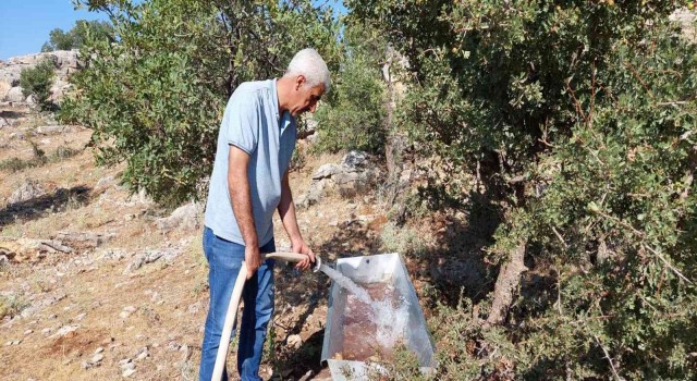 Yaban hayvanları için doğaya su bırakıldı