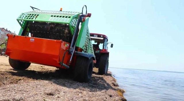 Yalova Çiftlikköyde yosunlar gübreye dönüşüyor