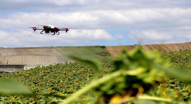 Yalovada çayır tırtılı ile dronlu mücadele