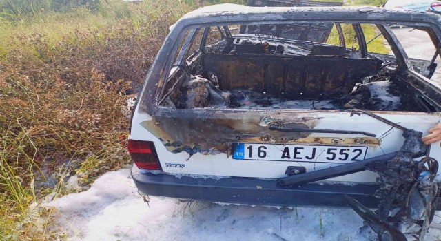 Yalovada direğe çarpan otomobil alevlere teslim oldu: 2 yaralı