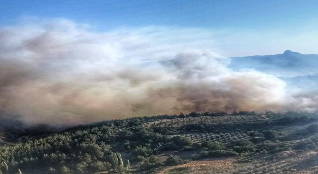 Yangın söndürme çalışmaları İHA tarafından görüntülendi