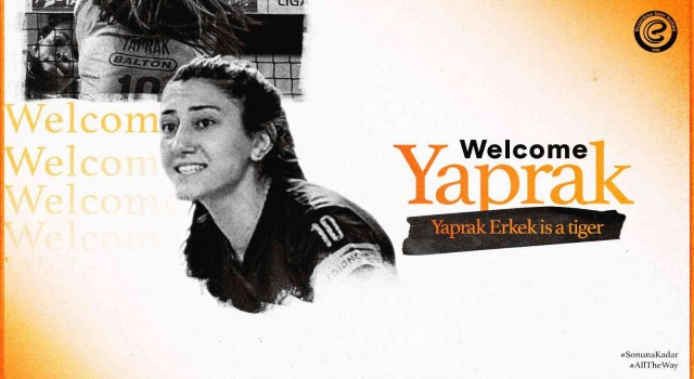 Yaprak Erkek, Eczacıbaşı Dynavitte