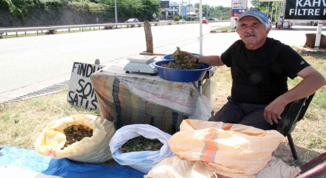 Yeni sezon fındığı yol kenarlarında satışa çıktı