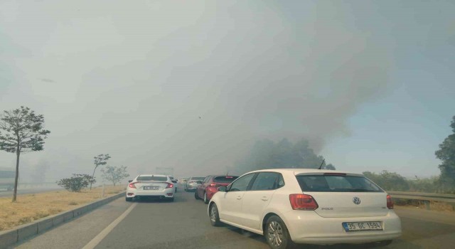 Yol kenarında çıkan yangın, sürücülere zor anlar yaşattı