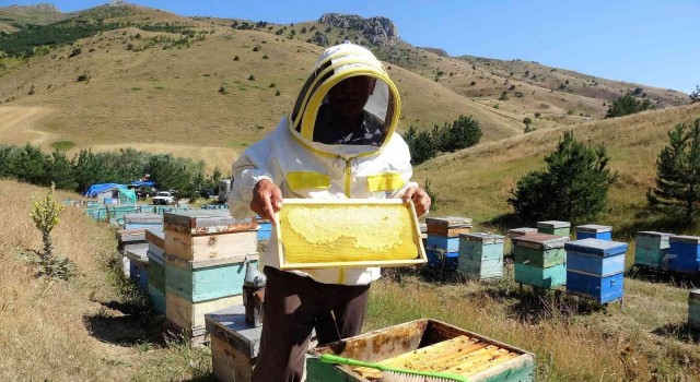 1 kovanla başladı, 100 kovana çıkarttı