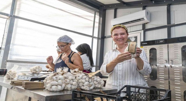 50 yıllık ata tohumu, Mersinden Kadın Kooperatifi ile sofralarda yerini aldı