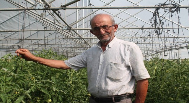 50 yıllık çiftçi ata tohumlarına gözü gibi bakıyor