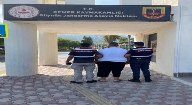 7,5 yıl hapis cezası ile aranan firari, jandarmaya yakalandı