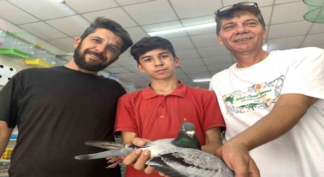 8 posta güvercininden 7si Eskişehire dönmeyi başardı