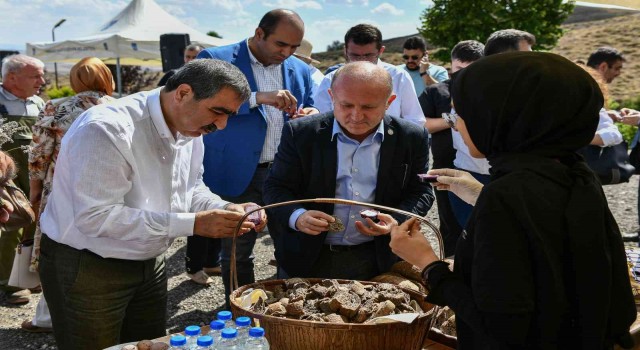 ABBnin yetişmesinde teknik destek verdiği aronya ikinci hasadını verdi