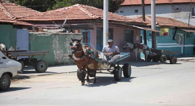 Acarlarda at arabacılarının zorlu yaşam mücadelesi sürüyor