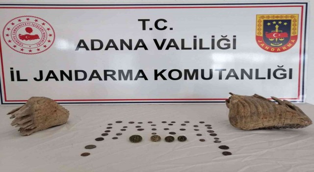 Adanada mamut fosili ele geçirildi