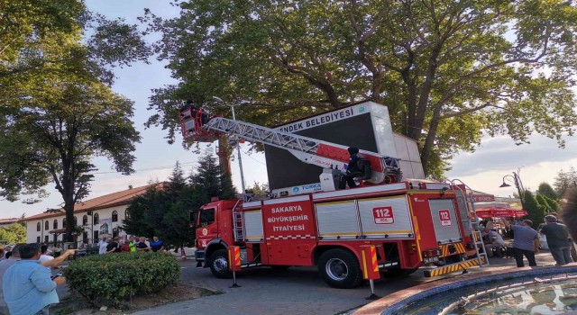 Ağaca takılan yaralı karganın imdadına itfaiye yetişti