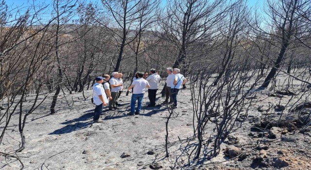Akhisarda yanan orman alanında fidanlar toprakla buluşacak