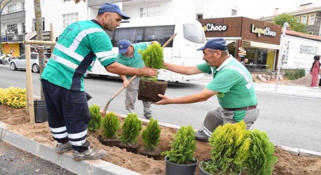 Aksarayda park ve yeşil alanlarda şehre uyum sağlayabilen ağaç türleri dikiliyor