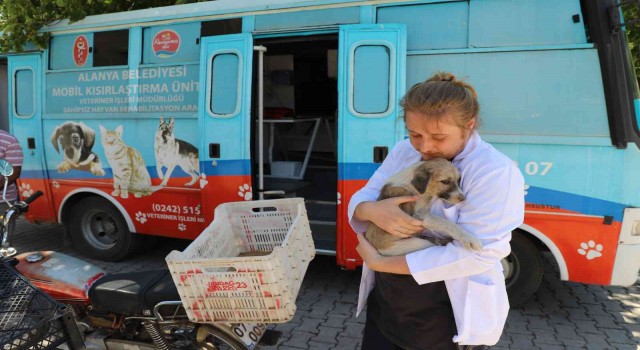 Alanya Belediyesi, kırsaldaki hayvanların bakım ve kontrollerini eksiksiz yapıyor