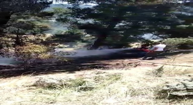 Alevler İç Anadolunun en büyük ormanına sıçramadan söndürüldü