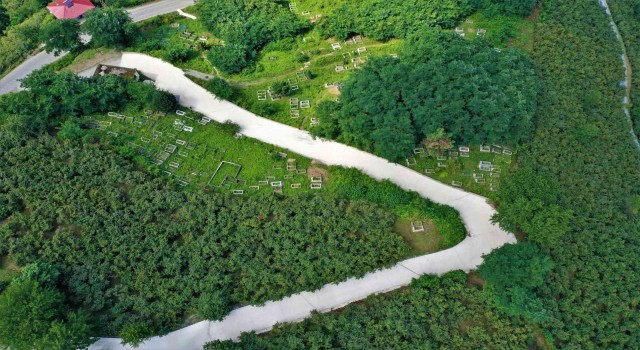 Altınorduda beton yol çalışmaları devam ediyor