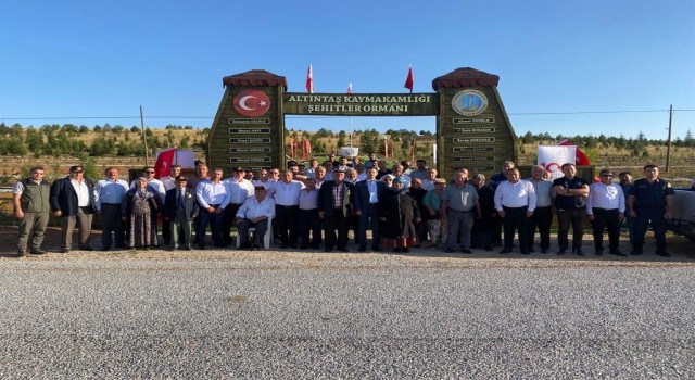 Altıntaşa Şehitler Ormanı
