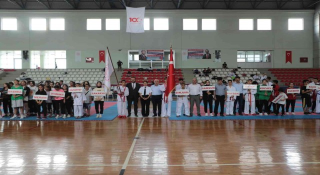Anadolu Yıldızları Ligi karate finalleri İskenderunda başladı