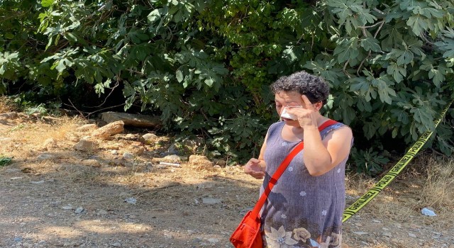 Antalyada 20 köpeğin zehirlendiği ihbarı