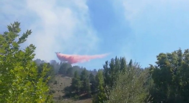 Antalyada çıkan orman yangını kısmen kontrol altına alındı