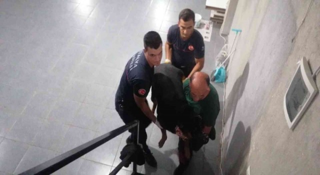 Antalyada itfaiyeden bodrumda yaşayan Şişman köpek operasyonu