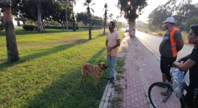 Antalyada otluk alanda köpek tarafından bulunan cesedin kimliği belirlendi