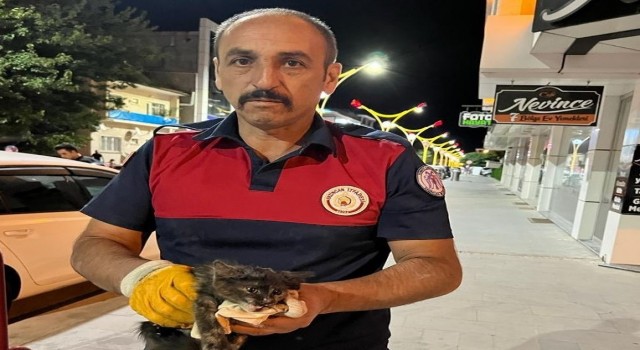 Araçta sıkışan yavru kedi itfaiye ekiplerince kurtardı