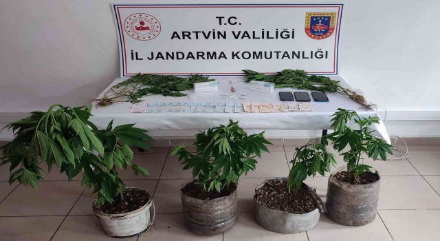Artvinde jandarmadan uyuşturucu operasyonu: 3 tutuklama