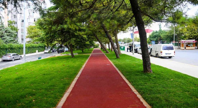 Aşık Veysel Mahallesindeki atıl alan yürüyüş yoluna dönüştürüldü