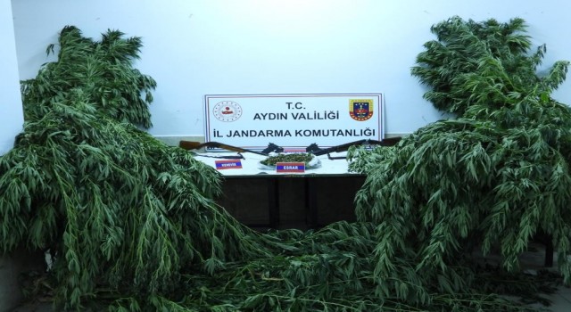 Aydında 5 şahıs uyuşturucudan tutuklandı