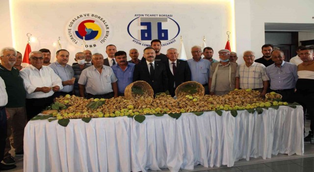 Aydında sezonun ilk kuru inciri 350 liradan satıldı