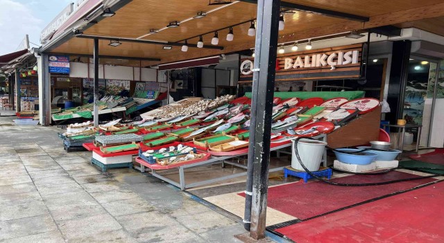 Balıkçılar bu sezon bolluk bekliyor, Vira Bismillah diyecekler