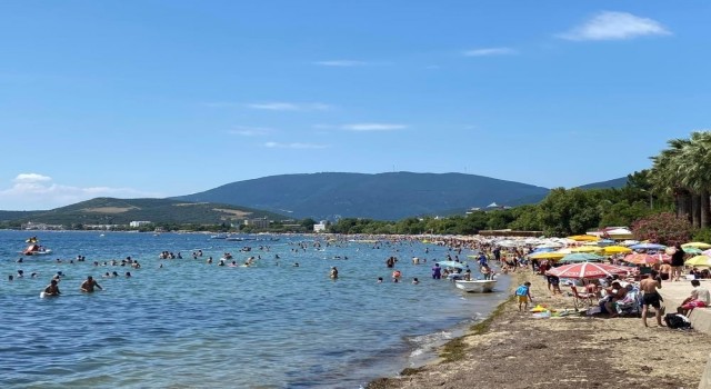 Balıkesir İl Sağlık Müdürlüğünden deniz suyu kirliliği iddiasıyla ilgili açıklama