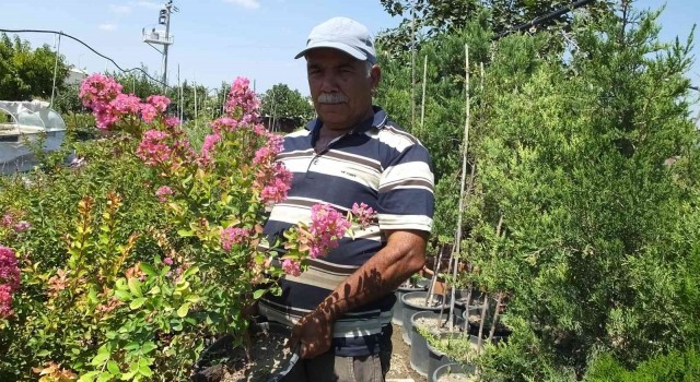 Balıkesirde işçi emeklisi vatandaş kendini yeşile adadı