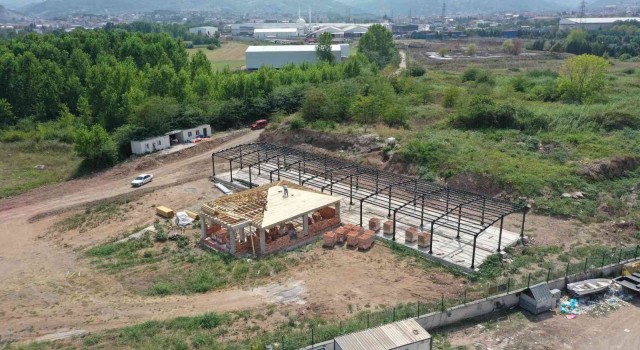 Başiskelede sokak hayvanları bu merkezde tedavi edilecek