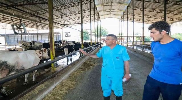 Başkan Güler, bir günlüğüne mesleğine geri dönüp hayvanlar için çalıştı