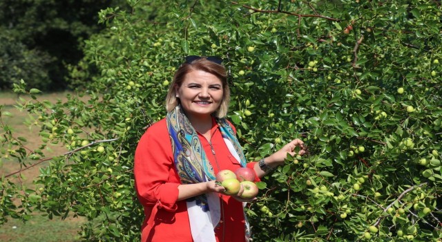 Başkan Hürriyet: Fazla üretiyoruz, ürettiğimizi paylaşıyoruz