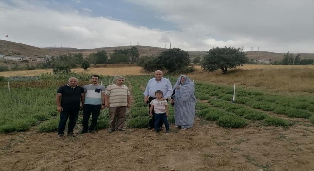 Başkan Pekmezci, üretim bahçelerinde incelemelerde bulundu
