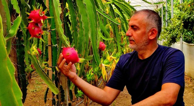 Batarsın diyenleri dinlemedi şimdi servet kazanıyor