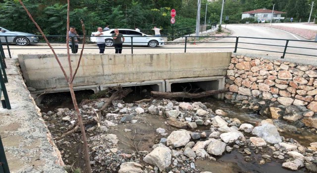 Bilecikte selin ardından temizlenmeyen Dalakdere vatandaşları tedirgin ediyor
