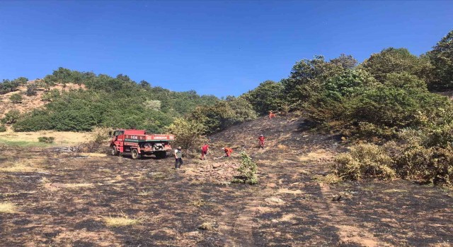 Bingölde çıkan orman yangını büyümeden söndürüldü