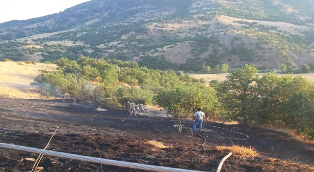 Bingölde otluk alanda çıkan yangın büyümeden söndürüldü