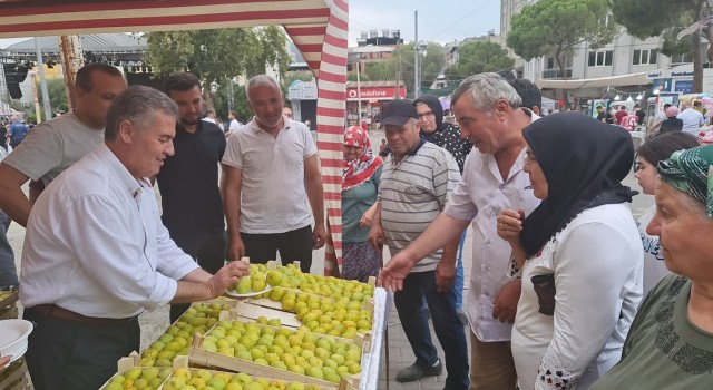 Buharkentte vatandaşlara 2 ton taze incir dağıtıldı