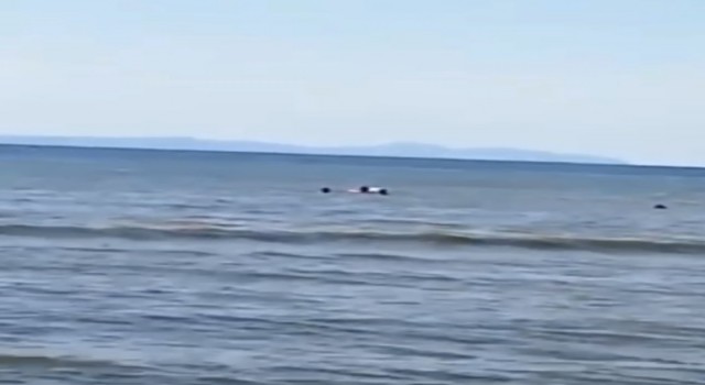 Bursada boğulmak üzere olan kişiyi cankurtaranlar son anda kurtardı